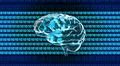 crystal brain 1010 Illustration