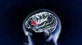 the crystal brain part2 Illustration