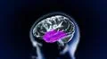 the crystal brain part4 Illustration