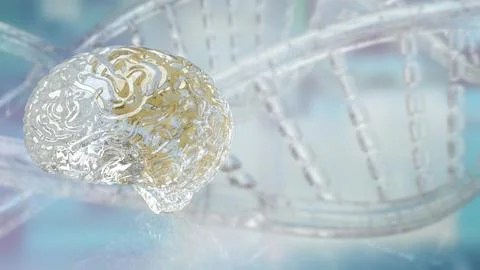 The crystal brain on sci backgrounders 3d rendering Stock Illustration