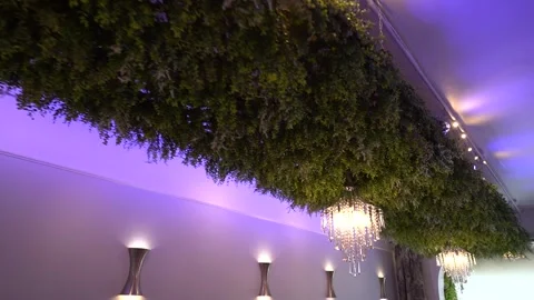 Crystal chandeliers hanging from a greenery ceiling in an event room Stock Footage 345550642