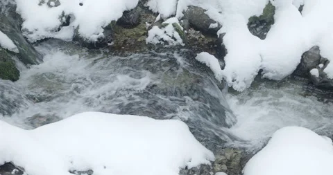 Crystal clean Alpine stream passes through frozen snowy forest Stock Footage 231733669