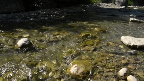 Crystal clean mountain stream flowing in nature Stock Footage 139923481