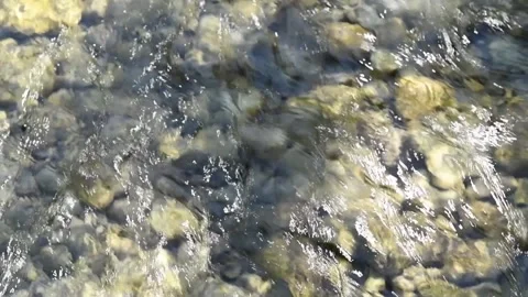 Crystal clean mountain stream flowing in nature. Rocky stream Video stock 139923540