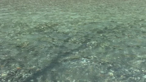 Crystal Clear Alpine River Stream in Kamikochi Japan - Pristine Flowing Water Video stock 345030597