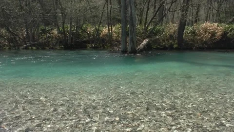 Crystal Clear Alpine River Stream in Kamikochi Japan - Pristine Flowing Water Video stock 345030612