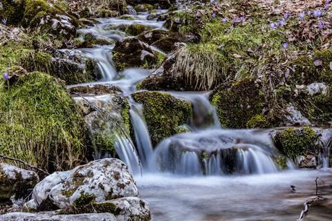 Crystal Clear Alpine Stream Stock Photos