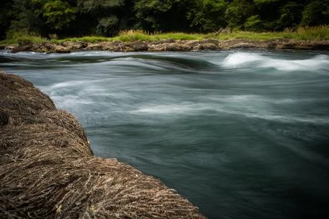 Crystal Clear Alpine Stream Stock Photos