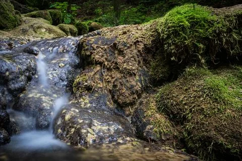Crystal Clear Alpine Stream Stock Photos