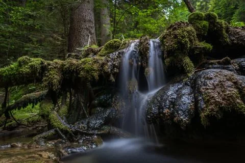 Crystal Clear Alpine Stream Stock Photos