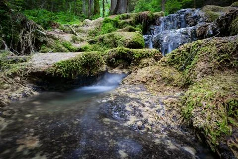 Crystal Clear Alpine Stream Stock Photos