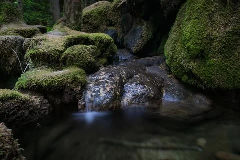 Crystal Clear Alpine Stream Stock Photos