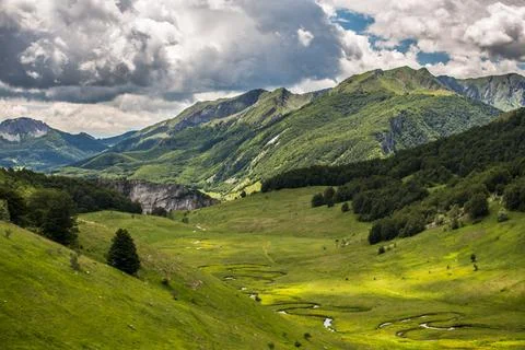 Crystal Clear Alpine Stream Stock Photos