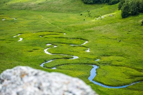 Crystal Clear Alpine Stream Stock Photos