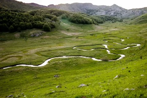 Crystal Clear Alpine Stream Stock Photos
