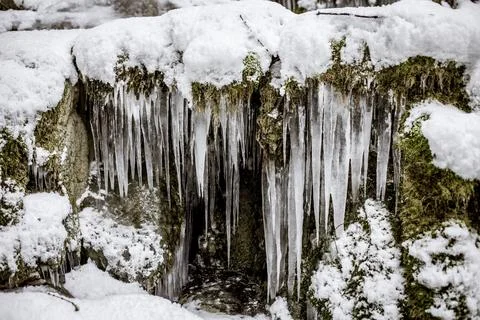 Crystal Clear Alpine Stream Stock Photos