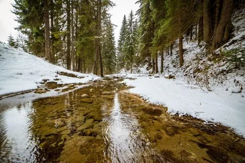 Crystal Clear Alpine Stream Stock Photos
