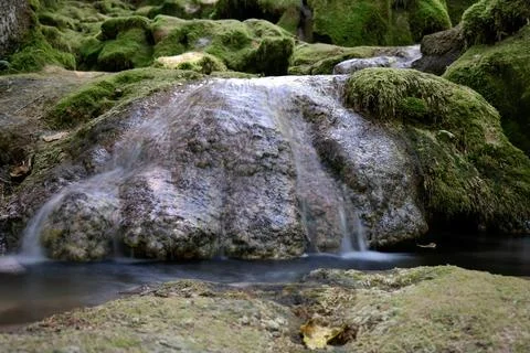 Crystal Clear Alpine Stream Stock Photos