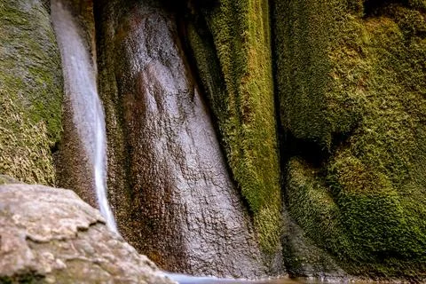 Crystal Clear Alpine Stream Stock Photos