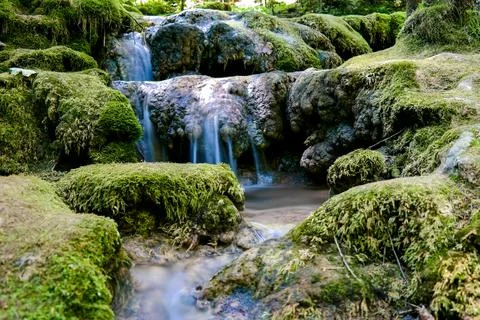 Crystal Clear Alpine Stream Stock Photos