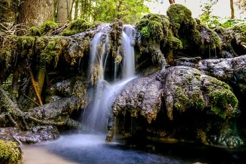 Crystal Clear Alpine Stream Stock Photos