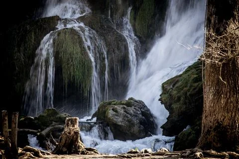 Crystal Clear Alpine Stream Stock Photos