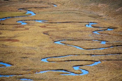 Crystal Clear Alpine Stream Stock Photos