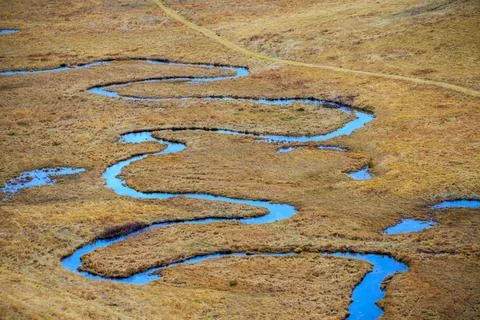 Crystal Clear Alpine Stream Stock Photos
