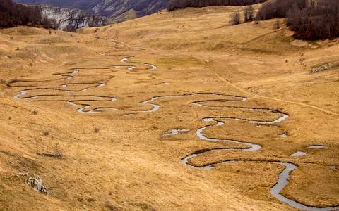 Crystal Clear Alpine Stream Stock Photos