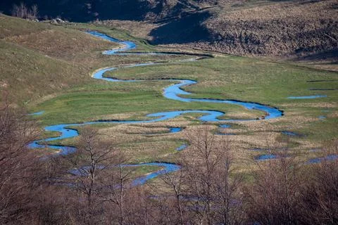 Crystal Clear Alpine Stream Stock Photos