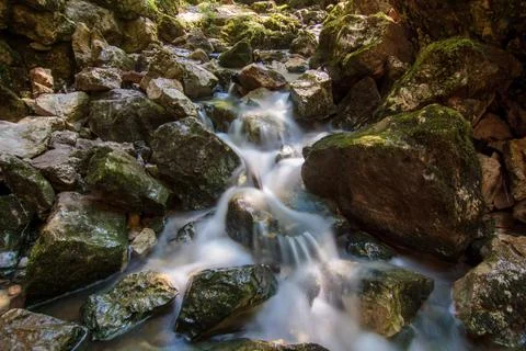 Crystal Clear Alpine Stream Stock Photos