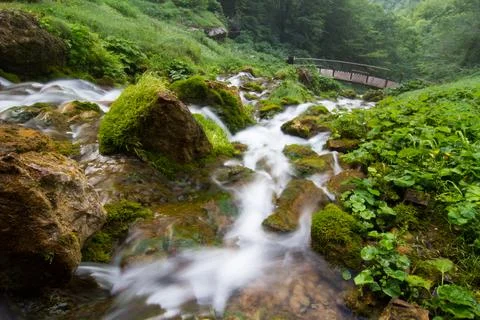 Crystal Clear Alpine Stream Stock Photos