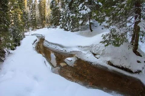 Crystal Clear Alpine Stream Stock Photos