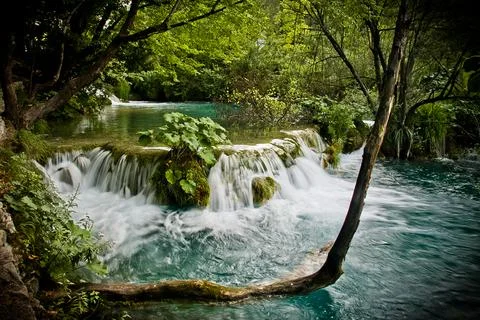 Crystal Clear Alpine Stream Stock Photos
