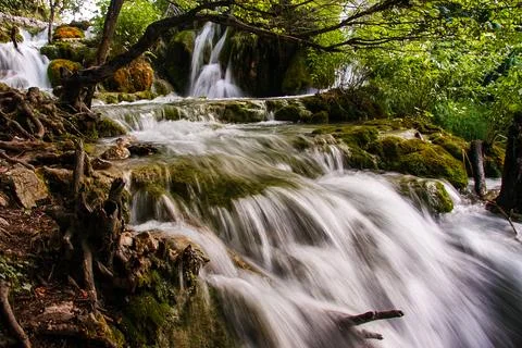 Crystal Clear Alpine Stream Stock Photos