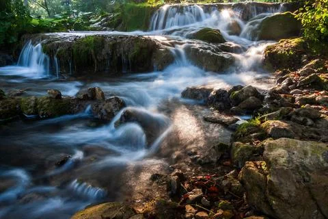 Crystal Clear Alpine Stream Stock Photos