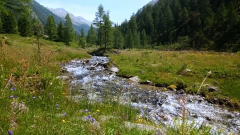 Crystal clear Austrian mountain stream in the alps of Carinthia Stock Footage 158623068