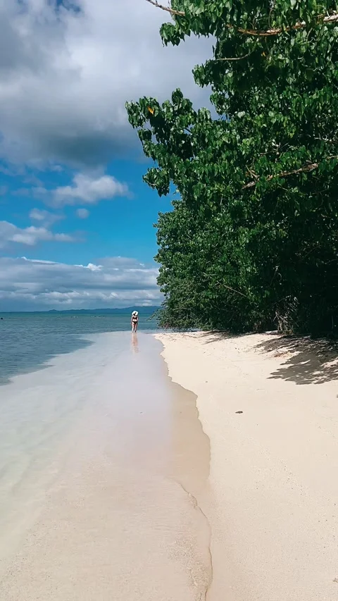 Crystal clear beach, palms, beach, white sand beach, tropical beach Stock Footage 233743395