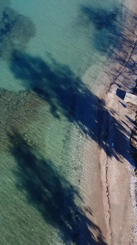 Crystal Clear Beach with Sand Pebbles and Tree Shade in Summer Stock Footage 343993461