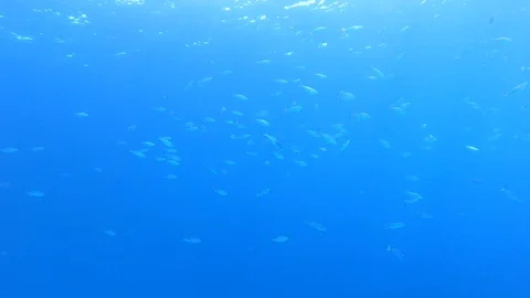 Crystal clear blue water causing a beautiful water lighting Stock Footage 128618294