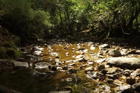 Crystal-clear cascades flow through rocky landscapes and vibrant green forests Stock Photos
