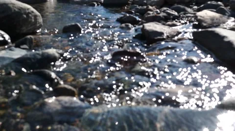 Crystal clear creek Stock Footage 51698400