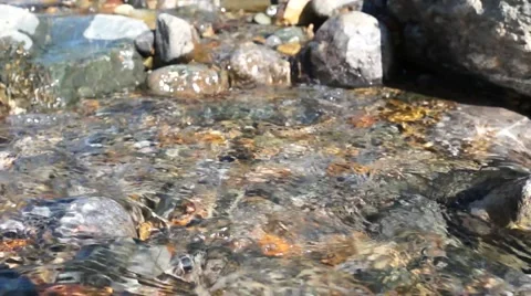 Crystal clear creek Stock Footage 51698445