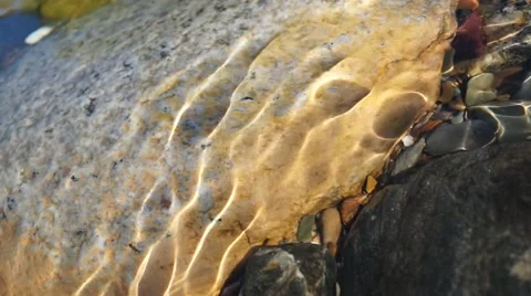 Crystal clear creek Stock Footage 51698483