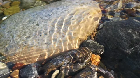Crystal clear creek Stock Footage 51698563