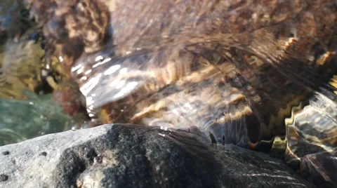 Crystal clear creek Stock Footage 51699343