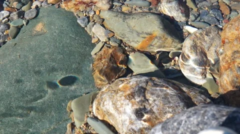 Crystal clear creek Stock Footage 51699468