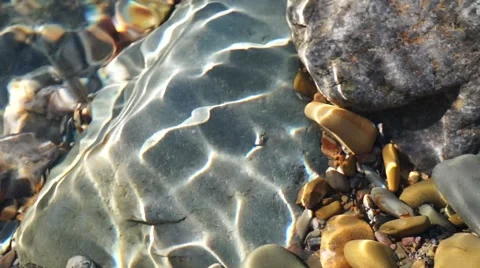 Crystal clear creek Stock Footage 51699719