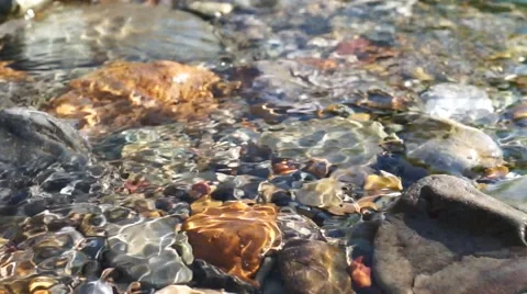 Crystal clear creek Stock Footage 51699874