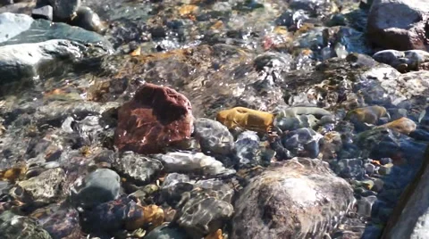 Crystal clear creek Stock Footage 51700347